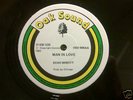 Echo Minott - Man in love -Five man army cut Roots 12