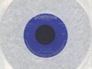 The Fallen Leaves -Little Liar-  Canadian Garage 45 NM