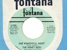 HONEY BEES She Don't Deserve You / Carole King FONTANA