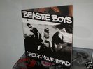 Beastie Boys, Check Your Head Original Double LP