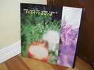 '95 Superchunk LP 