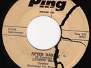 ANDREW HILL After Dark 45 on Ping Rare Jazz
