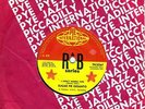 PYE INT 45  SUGAR PIE DESANTO  I DONT WANNA FUSS  45