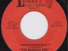 Illinois Garage Psych 45-Raindear Army-Ledger-Hear 