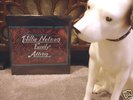 Rare Willie Nelson Family Album LP - Sealed - Promo