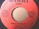 HAPPY LOVE - Down in the Valley -Hamma rare Wackie's 45