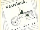WASTELAND - WANT NOT EP ORIG 79 PUNK KBD ELLIE JAY