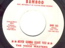 Northern Soul - Voice Masters -Never Gonna Leave You-DJ