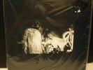 Sun City Girls Fruit of The Womb / Police Deception LP