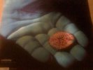 Coldplay -  The Blue Room EP  12inch Vinyl -  RARE