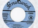 tony drake - suddenly - brunswick  - soul 45 dj
