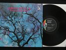 Amon Düül II 