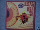 Kate Bush 