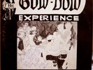 GOW-DOW EXPERIENCE 73-74-75 Prof. James Benson lp G/VG