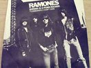Ramones Sheena is a punk rocker UK 12