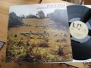POPOL VUH LETZTE TAGE LETZTE NÄCHTE 1976 MINT KRAUTROCK