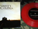 COHEED AND CAMBRIA 7