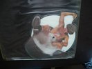 AC/DC Rare You shook me all Night long shaped Pic Disc
