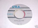 HOMER dandelion wine RARE PSYCH 45 texas garage HEAR IT