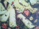 Donovan.   HMS Donovan   DNLD4001 stereo  1971  2LPS