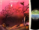 rare UK PROG LP Janne Schaffer THE CHINESE Vertigo NM-
