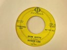 HEAR IT SURF GIRL GROUP Susan Lee and the Trio Fink 100