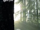 Burzum Belus 2lp SEALED OOP VINYL darkthrone MAYHEM LP