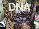 DNA A Taste of DNA EP Rare NYC No Wave KBD Mars NM
