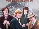 DOWNLINERS SECT - THE ROCK SECT'S IN - COLUMBIA LP