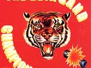 The Beta Band - Champion Versions 12