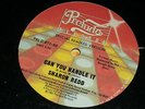 SHARON REDD CAN YOU HANDLE IT/ YOU GOT MY LOVE 12