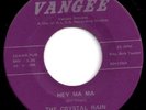 CRYSTAL RAIN - Intense Ohio Psych Garage VANGEE -LISTEN