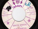 SUBSTANTIAL EVIDENCE Death Angel GROOVY GRAPE Garage Ms