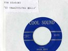 COOL SOUND 1030 THE ZIRCONS  HEAR IT
