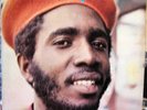 AL CAMPBELL---SHOWCASE---REGGAE--ROOTS--LP----LISTEN---