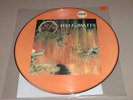 SLAYER - HELL AWAITS, RARE PICTURE DISC UNNUMBERED