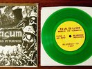 NASUM World In Turmoil 7