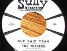 Private 1960s Texas Fuzz 45 TRACERS She Said Yeah SULLY