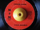 Sweet Soul/Crossover 45 CALIF MALIBUS I Stand Alone