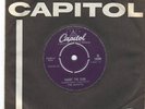 THE HONEYS BEACH BOY BRIAN WILSON ARRANGEMENT MINT 45