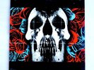 DEFTONES Vinyl Record Album LP Self Titled SEALED NEW