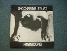 Saccharine Trust - Pagan Icons