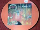 SLAYER..HELL AWAITS...Picture Disk..weltweit 5000 Stück