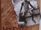 V/A Lee Perry DIVINE MADNESS DEFINITELY collector [2]LP