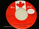 THE PAUPERS Canadian Rock/Garage PROMO 45 on RED LEAF