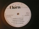 Junior Brammer Warm & Sunny Day Killer Digi 12