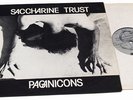 SACCHARINE TRUST/PAGAN ICONS/SST/PUNK/SCARCE/NM