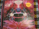 BLUE MOUNTAIN EAGLE S/T LP Rare Promo WLP Psych