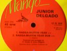 JUNIOR DELGADO Raggamuffin Year digital roots 12