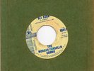 RARE 1960s GUITAR SURF PROMO 45 